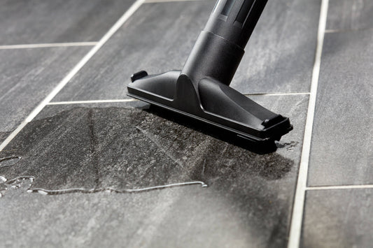 Project Source Wet/Dry Squeegee Nozzle