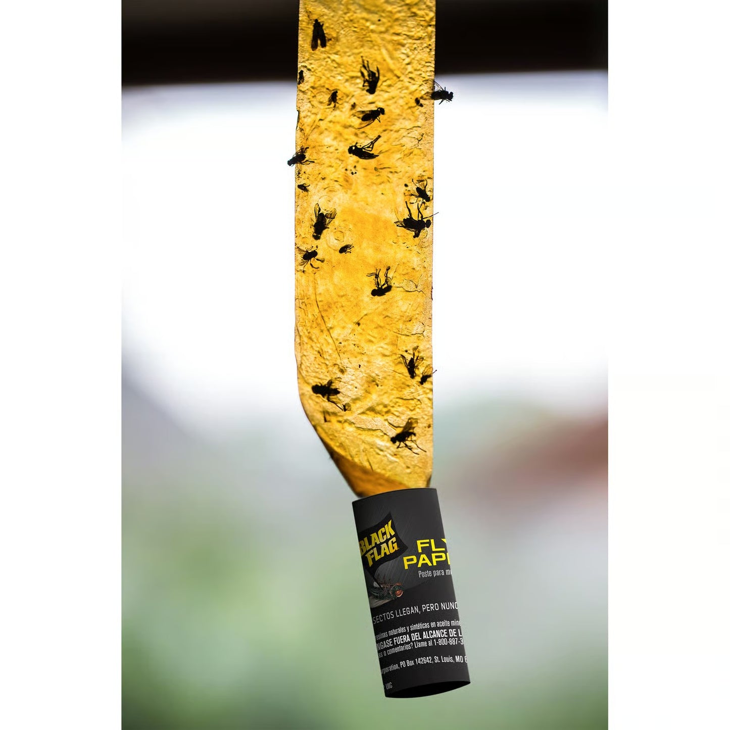 Black Flag Fly Killer Trap 4 pk
