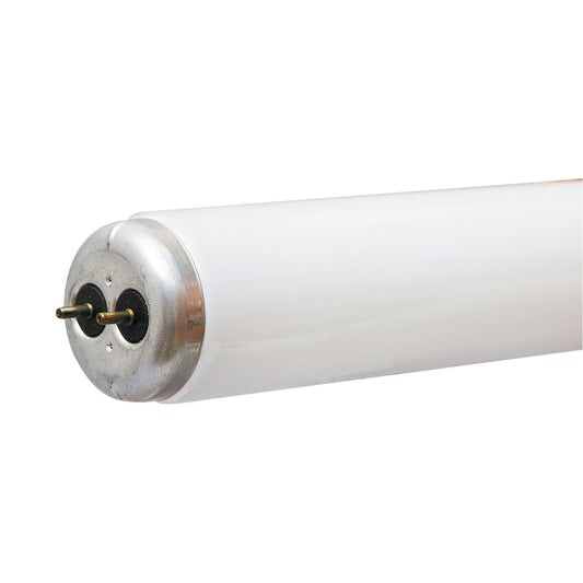 GE 32 -Watt EQ T8 Cool white Medium bi-pin base G13 Fluorescent Tube Light Bulb 30 Pack