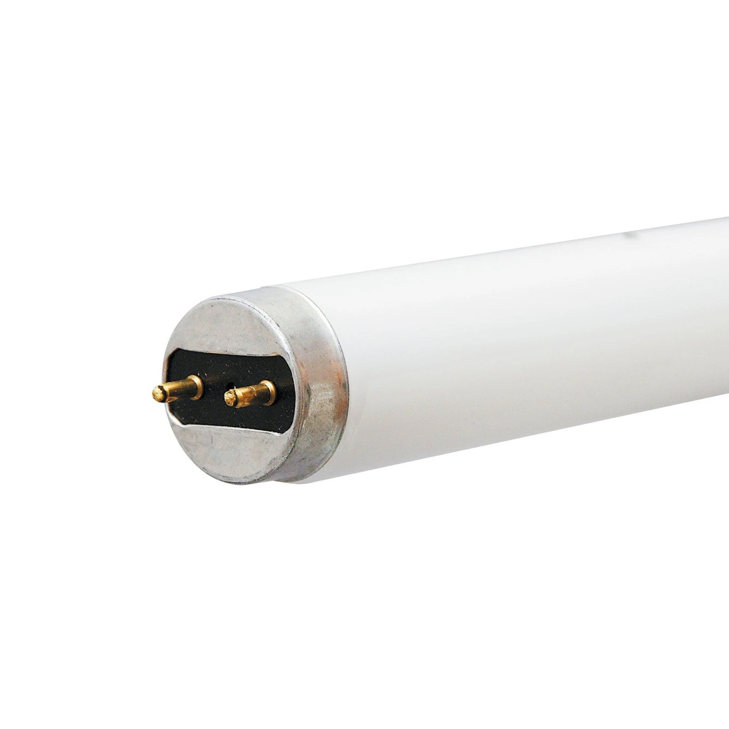 GE 32 -Watt EQ T8 Cool white Medium bi-pin base G13 Fluorescent Tube Light Bulb 30 -Pack