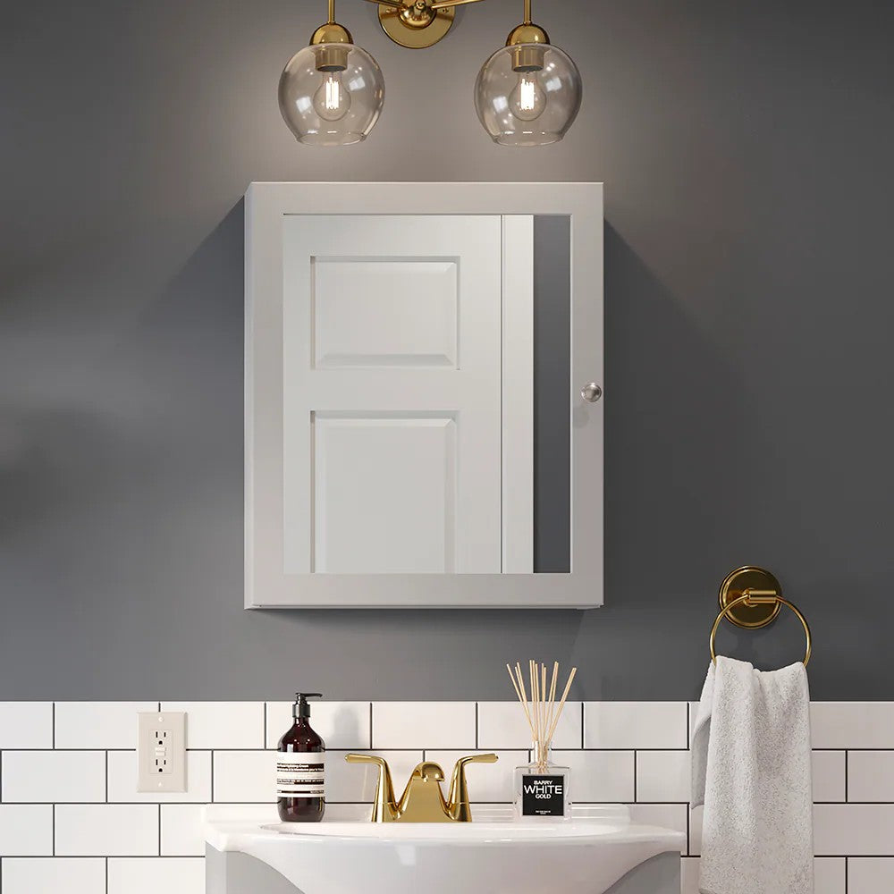 Style Selections 19.63-in x 23.7-in Surface Mount Gray Mirrored Medicine Cabinet