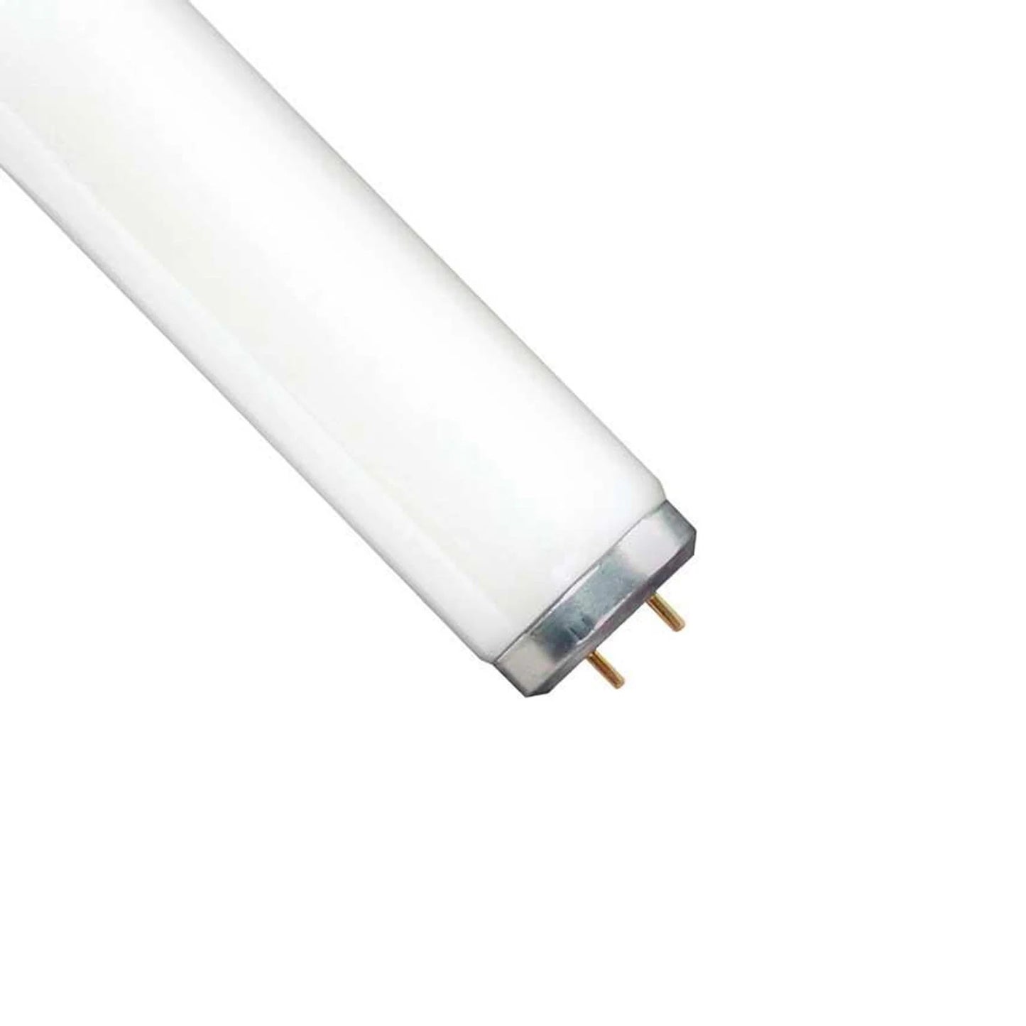 GE 32 -Watt EQ T8 Cool daylight Medium bi-pin base G13 Fluorescent Tube Light Bulb 12 -Pack