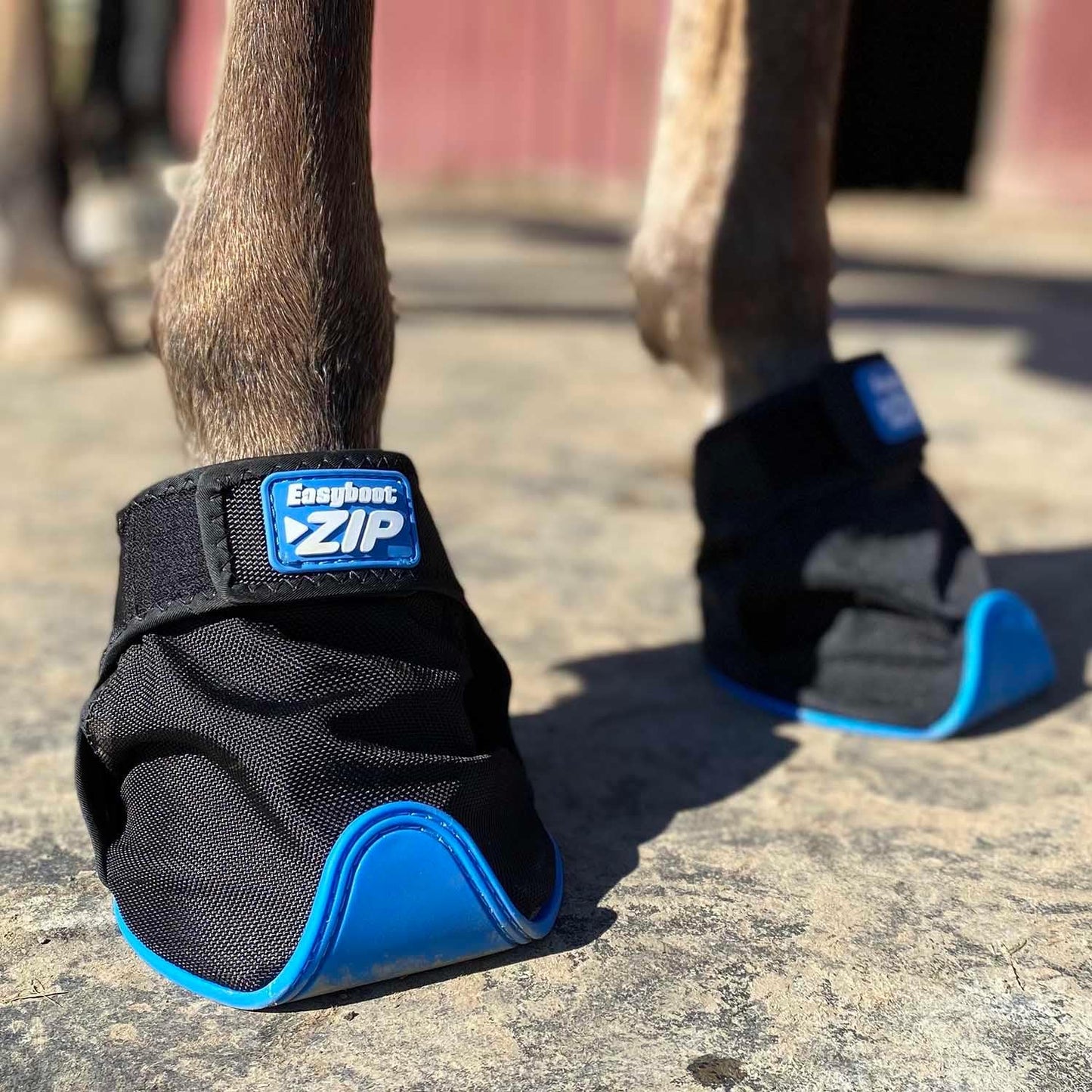 Easy Care Protective Hoofwear - Easy Boot Zip - Therapy - Size 3