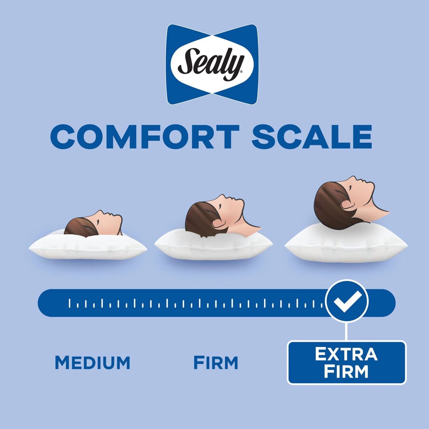 Sealy Maintains Shape Super Firm Support Pillow