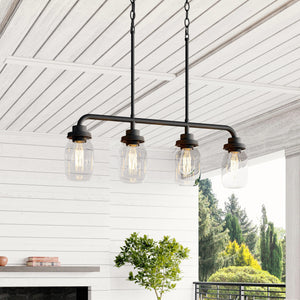 Quoizel Jana 4-Light Matte Black Transitional Chandelier